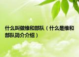 什么叫做维和部队（什么是维和部队简介介绍）