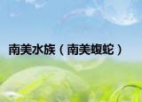南美水族（南美蝮蛇）