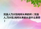 见渔人乃大惊问所从来的所（见渔人,乃大惊,问所从来的从是什么意思）