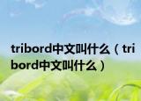 tribord中文叫什么（tribord中文叫什么）