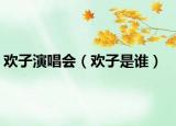 欢子演唱会（欢子是谁）