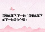 采菊东篱下,下一句（采菊东篱下的下一句简介介绍）
