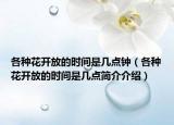 各种花开放的时间是几点钟（各种花开放的时间是几点简介介绍）