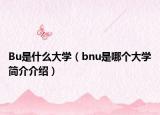 Bu是什么大学（bnu是哪个大学简介介绍）