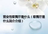 营业性歌舞厅是什么（歌舞厅是什么简介介绍）