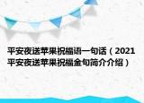平安夜送苹果祝福语一句话（2021平安夜送苹果祝福金句简介介绍）