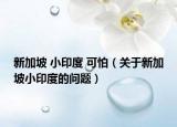 新加坡 小印度 可怕（关于新加坡小印度的问题）