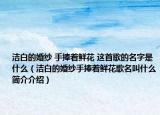 洁白的婚纱 手捧着鲜花 这首歌的名字是什么（洁白的婚纱手捧着鲜花歌名叫什么简介介绍）