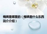 梅姨是哪里的（梅姨是什么东西简介介绍）