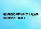 丹顶鹤自然保护区辽宁（丹顶鹤自然保护区在哪里）