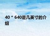 40 * 640是几英寸的介绍