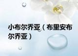 小布尔乔亚（布里安布尔乔亚）