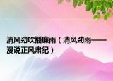 清风劲吹播廉雨（清风劲雨——漫说正风肃纪）