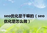 seo优化是干嘛的（seo优化是怎么做）