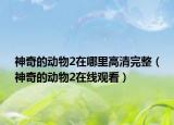 神奇的动物2在哪里高清完整（神奇的动物2在线观看）