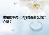 玳瑁的甲壳（玳瑁壳是什么简介介绍）
