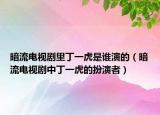 暗流电视剧里丁一虎是谁演的（暗流电视剧中丁一虎的扮演者）
