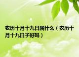 农历十月十九日属什么（农历十月十九日子好吗）
