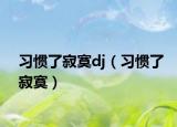 习惯了寂寞dj（习惯了寂寞）