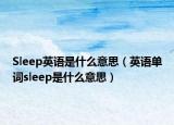 Sleep英语是什么意思（英语单词sleep是什么意思）