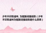 少年不识愁滋味, 为赋新词强说愁（少年不识愁滋味为赋新词强说愁是什么意思）