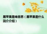 黑苹果是啥意思（黑苹果是什么简介介绍）