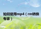 如何使用mp4（rm转换专家）