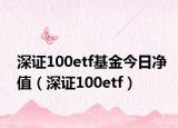 深证100etf基金今日净值（深证100etf）