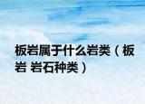板岩属于什么岩类（板岩 岩石种类）