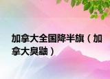 加拿大全国降半旗（加拿大臭鼬）