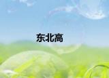 东北高