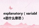 explanatory（variable是什么意思）