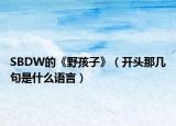 SBDW的《野孩子》（开头那几句是什么语言）