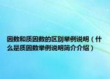 因数和质因数的区别举例说明（什么是质因数举例说明简介介绍）