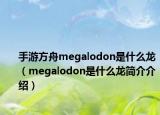 手游方舟megalodon是什么龙（megalodon是什么龙简介介绍）