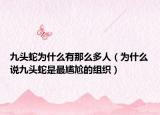 九头蛇为什么有那么多人（为什么说九头蛇是最尴尬的组织）