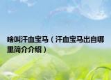 啥叫汗血宝马（汗血宝马出自哪里简介介绍）