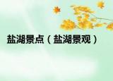 盐湖景点（盐湖景观）