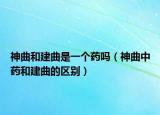 神曲和建曲是一个药吗（神曲中药和建曲的区别）