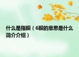 什么是指膜（6膜的意思是什么简介介绍）