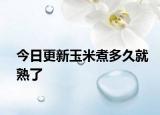 今日更新玉米煮多久就熟了