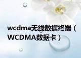 wcdma无线数据终端（WCDMA数据卡）