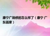 康宁广场修的怎么样了（康宁 广东画家）
