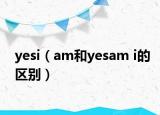 yesi（am和yesam i的区别）