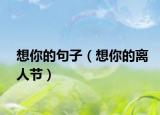 想你的句子（想你的离人节）