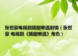 张世豪电视剧插翅难逃剧情（张世豪 电视剧《插翅难逃》角色）