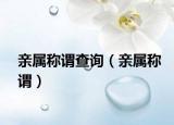 亲属称谓查询（亲属称谓）