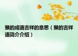猴的成语吉祥的意思（猴的吉祥语简介介绍）