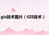 gis技术图片（GIS技术）