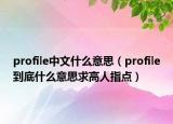 profile中文什么意思（profile到底什么意思求高人指点）